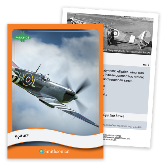 Curiosity Cards: Allies of WW2