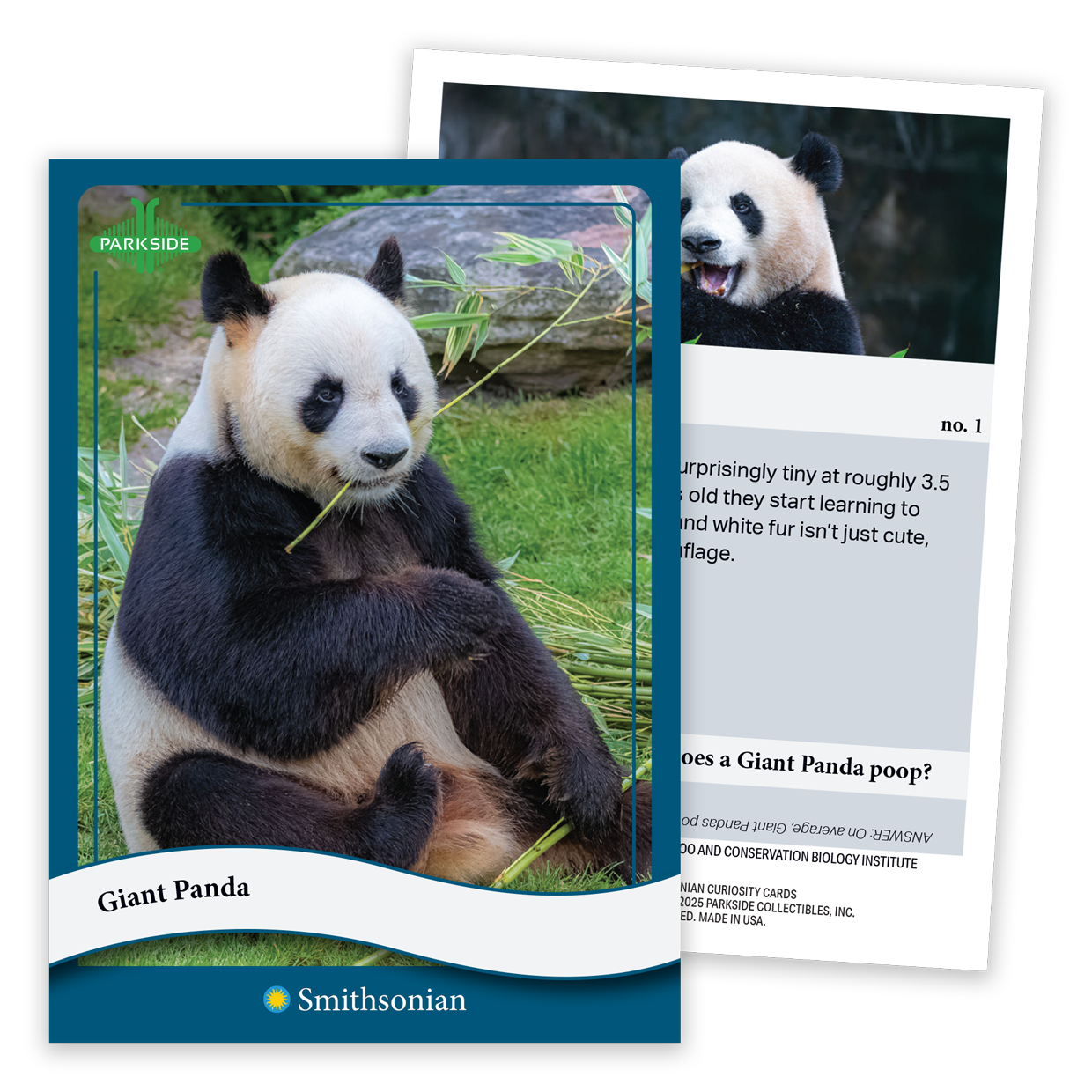 Curiosity Cards: Animal Kingdom