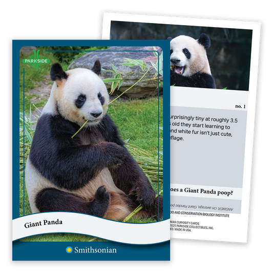 Curiosity Cards: Animal Kingdom