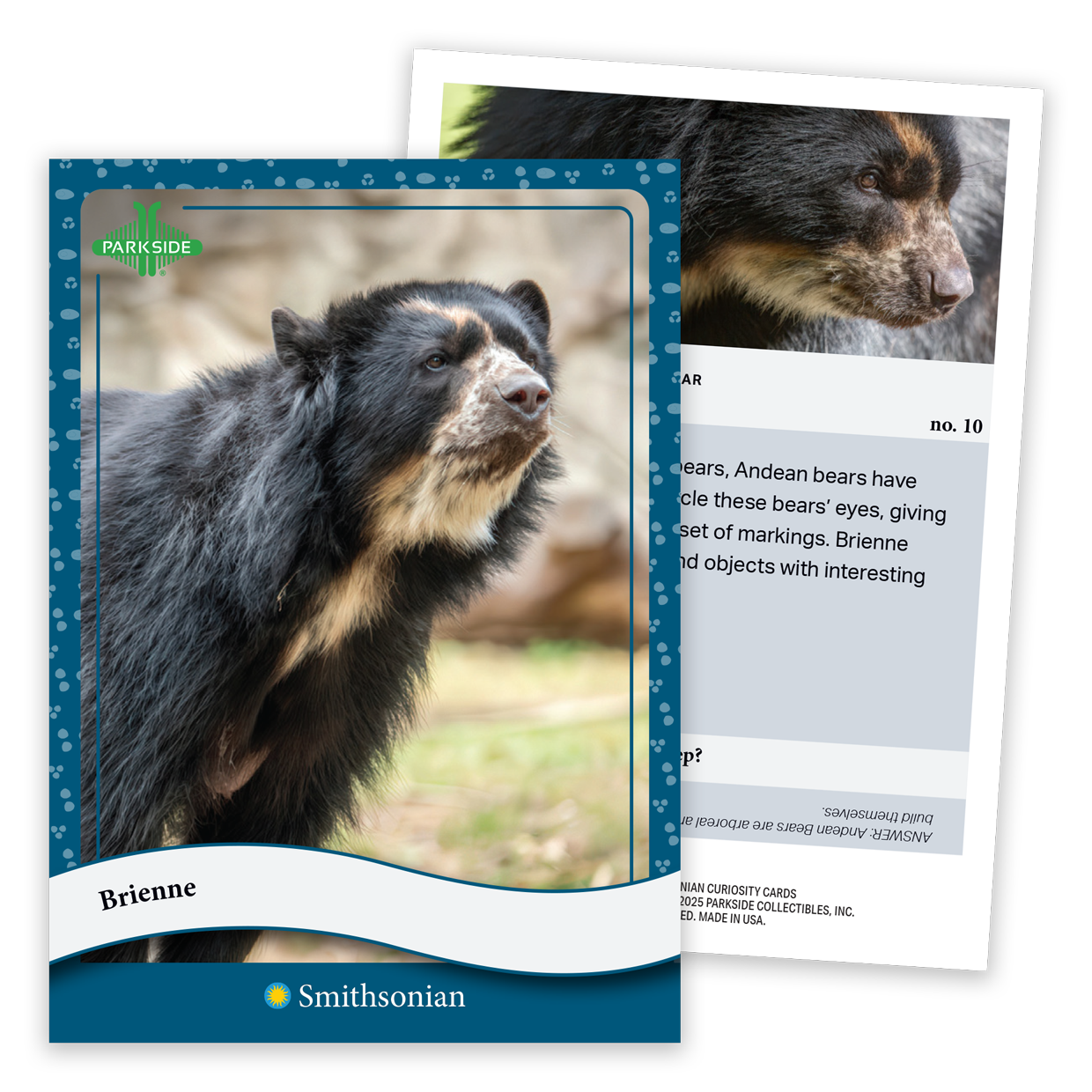 Curiosity Cards: Animal Kingdom