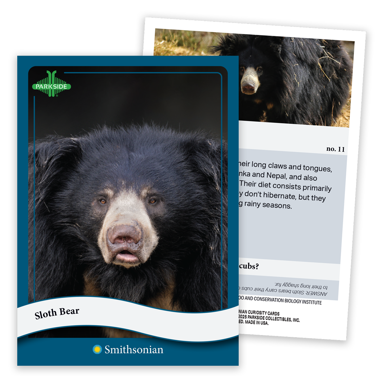 Curiosity Cards: Animal Kingdom